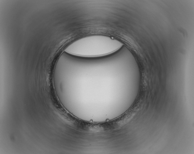 X0000112010258200908031027