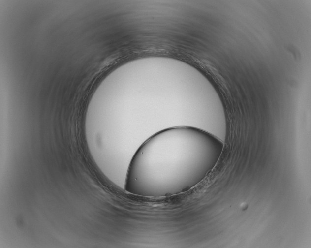 X0000112010260200908031027