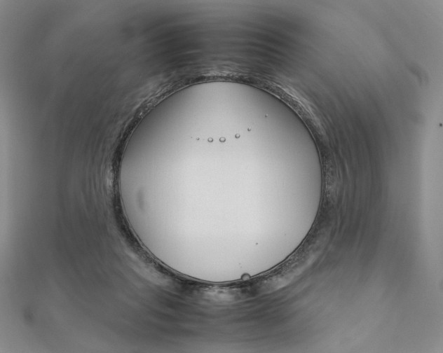 X0000112010261200908031027
