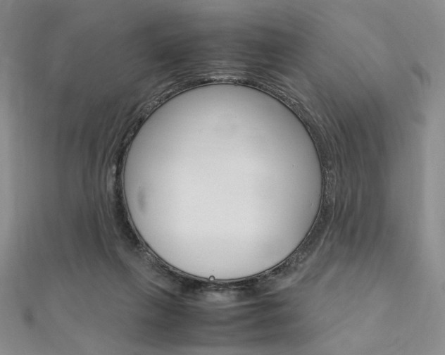 X0000112010263200908031027