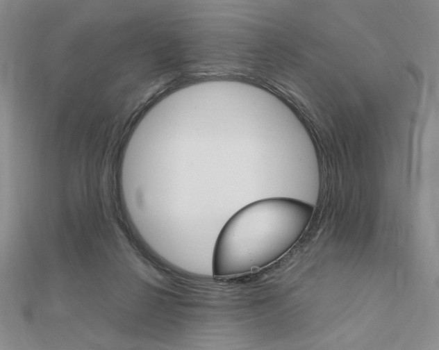 X0000112010264200908031027