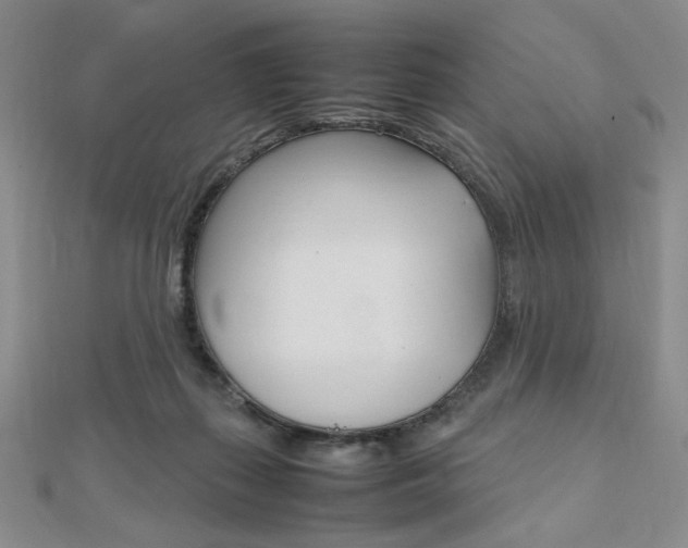 X0000112010267200908031027