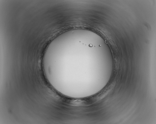 X0000112010269200908031027