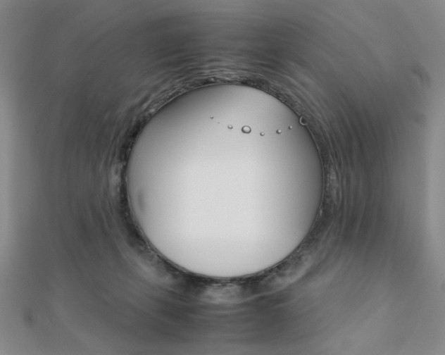X0000112010271200908031027