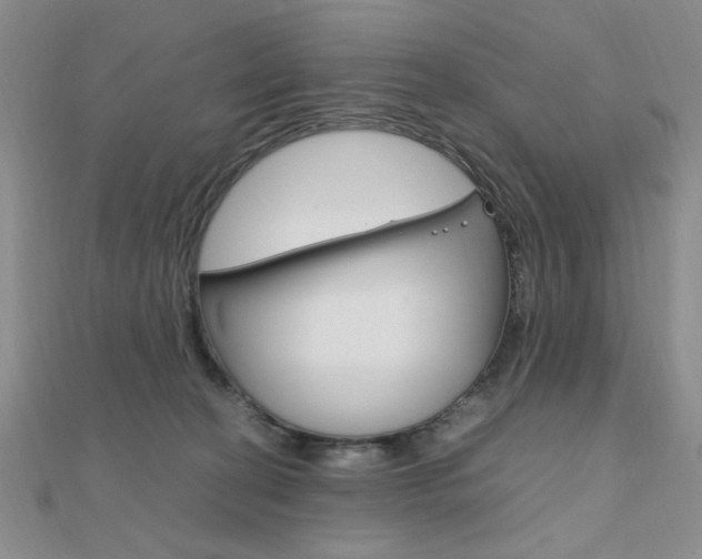 X0000112010274200908031027