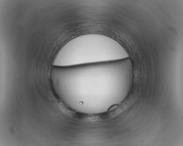 X0000112010278200908031028