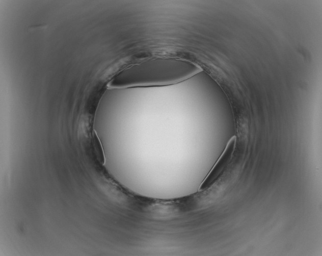 X0000112010280200908031028
