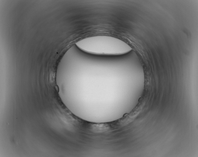 X0000112010281200908031028