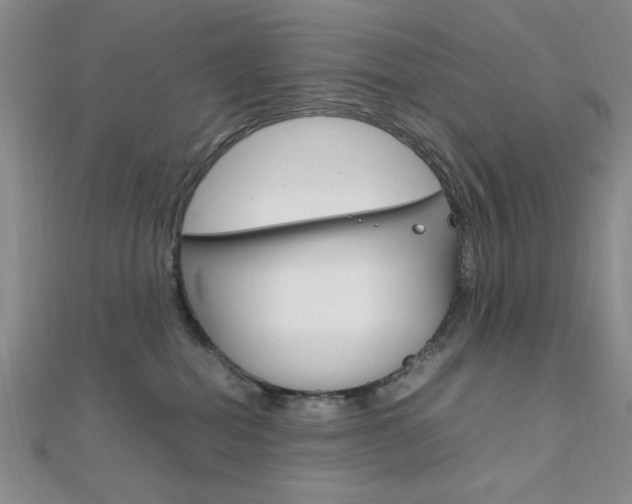 X0000112010282200908031028