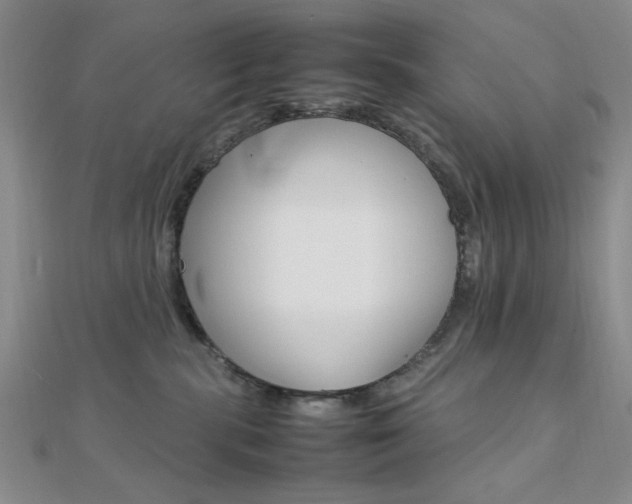 X0000112010283200908031028