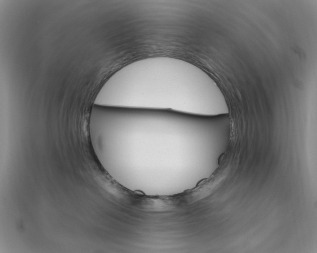 X0000112010286200908031028