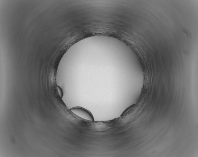 X0000112010287200908031028