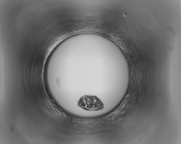 X0000112010292200908031027