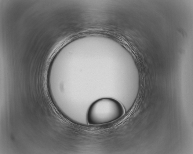 X0000112010293200908031027