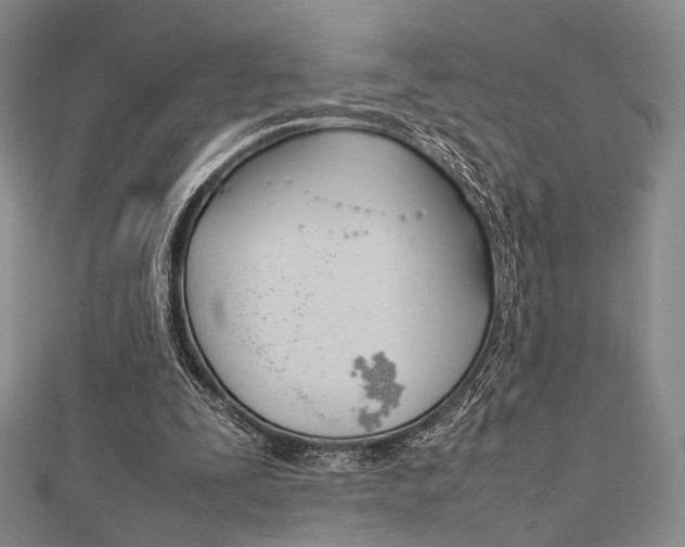 X0000112010295200908031027