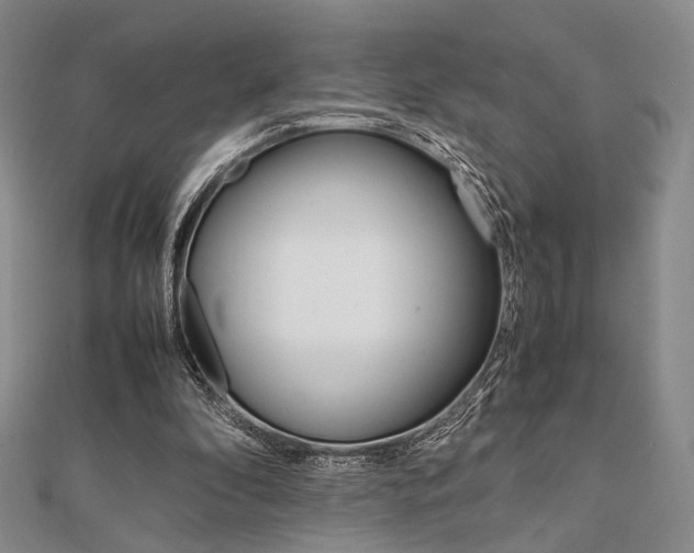 X0000112010296200908031027