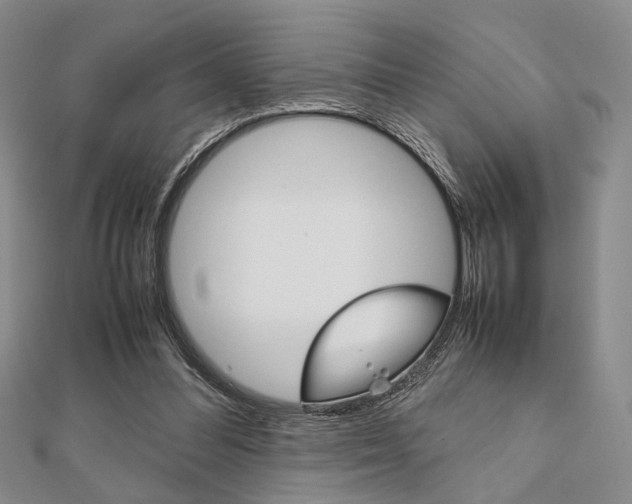 X0000112010300200908031027