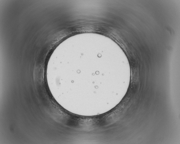 X0000112010301200908031027