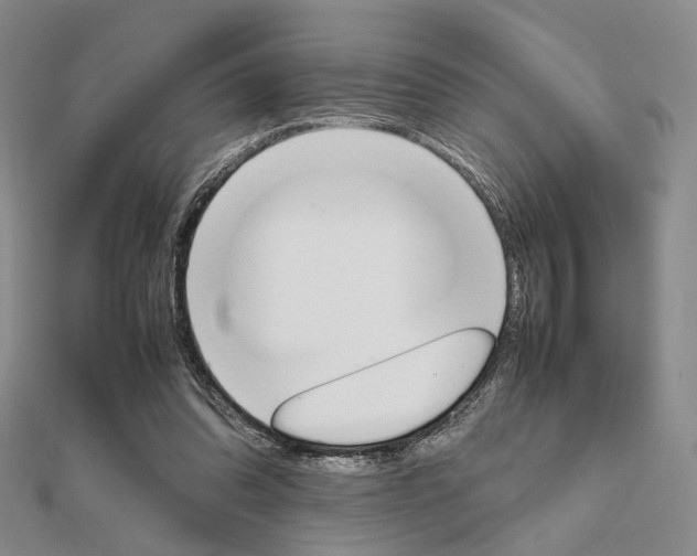 X0000112010302200908031027