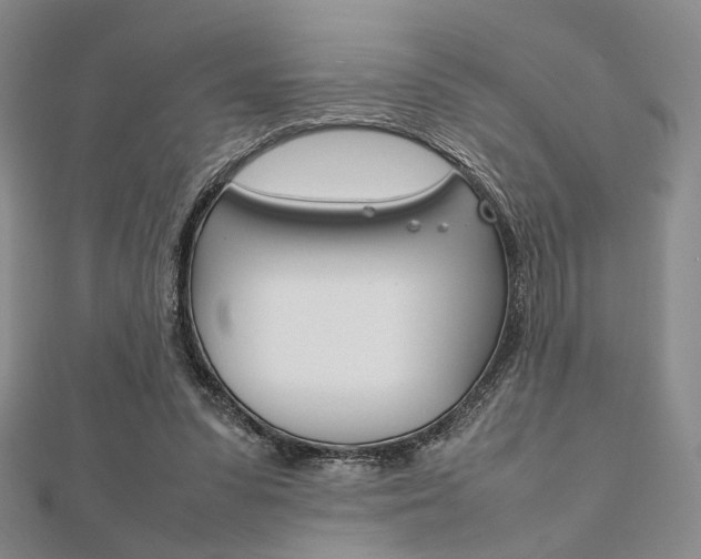 X0000112010303200908031027
