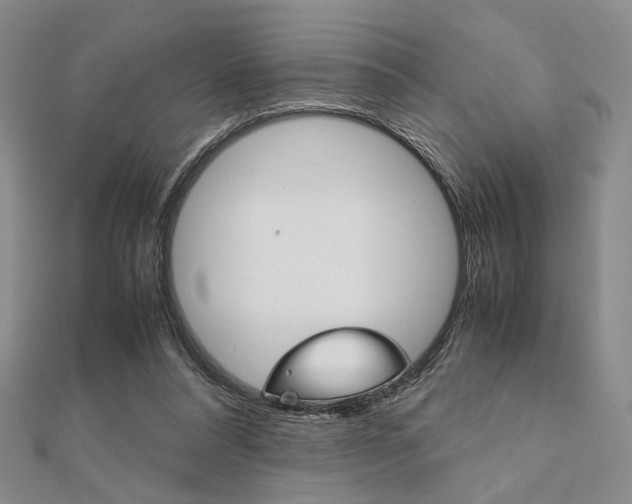 X0000112010304200908031027