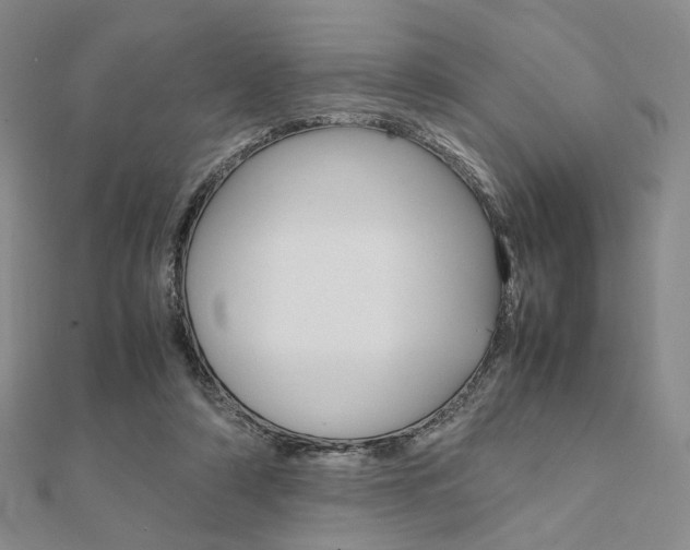 X0000112010306200908031027