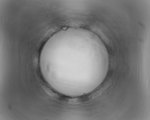 X0000112010309200908031027