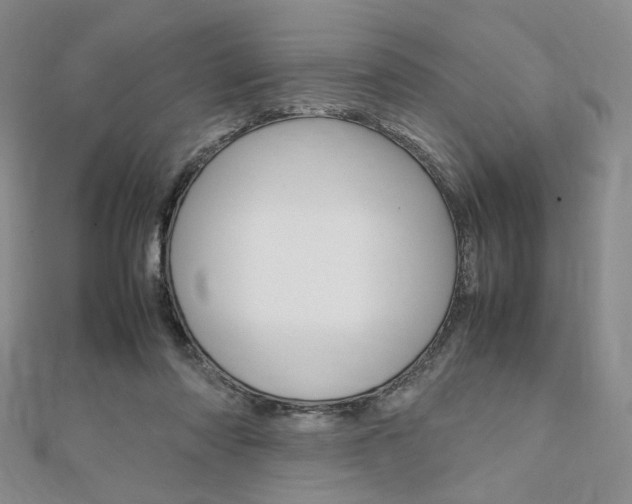 X0000112010310200908031027