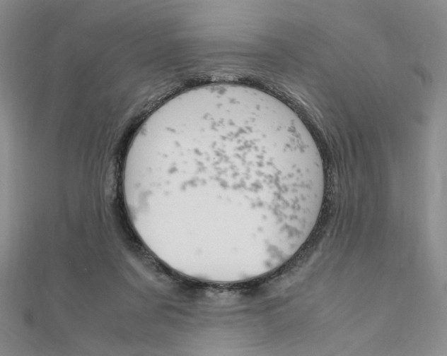 X0000112010311200908031027