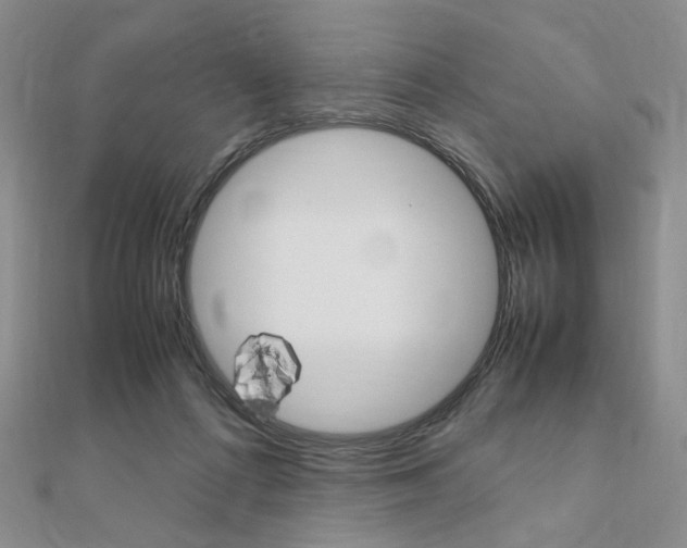 X0000112010312200908031027