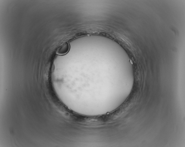 X0000112010315200908031027