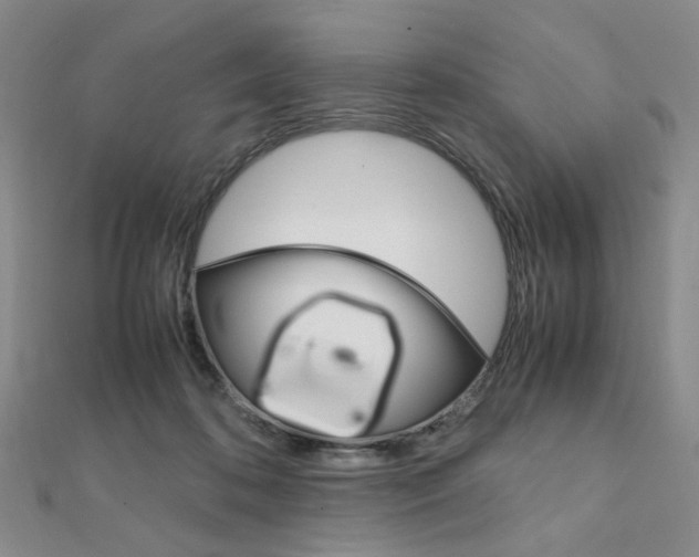 X0000112010316200908031027