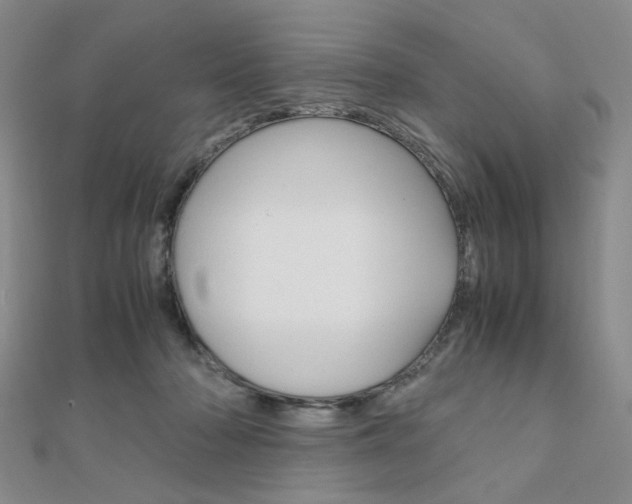 X0000112010318200908031026