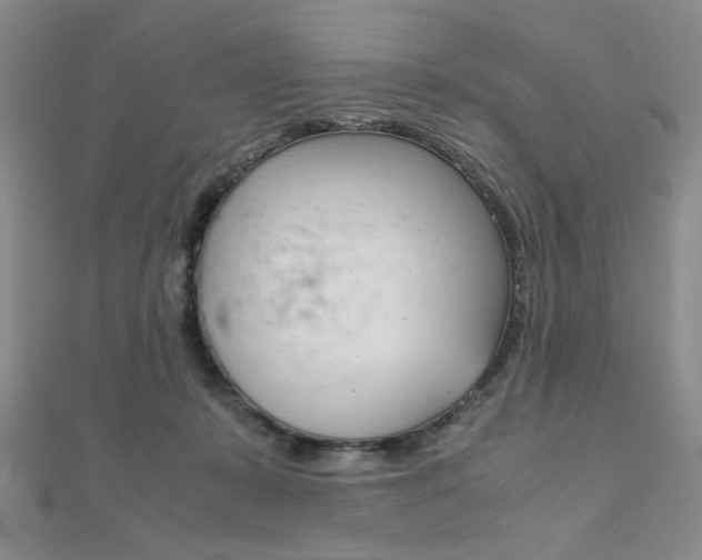 X0000112010319200908031026