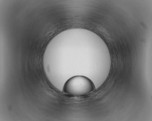 X0000112010320200908031026