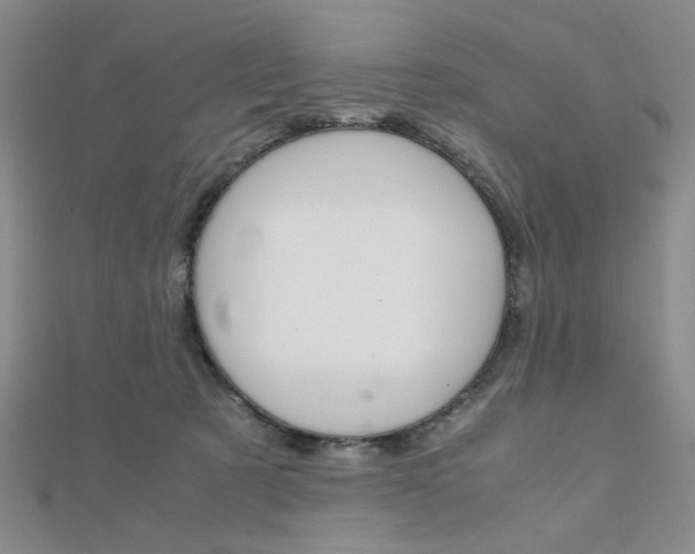 X0000112010321200908031026