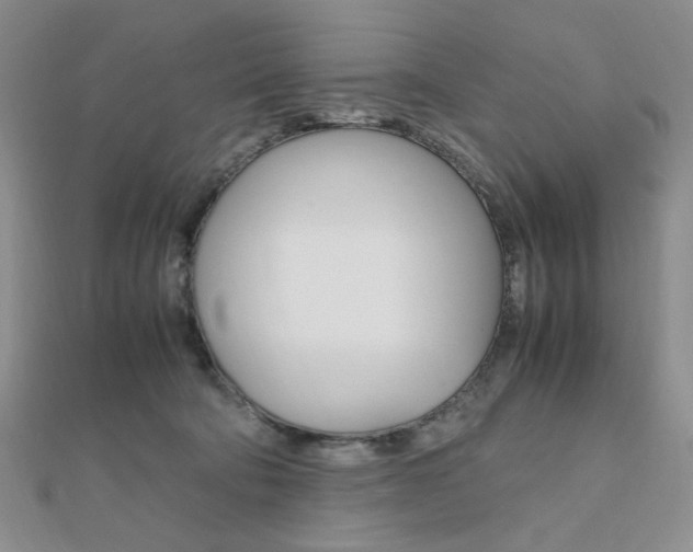 X0000112010322200908031026