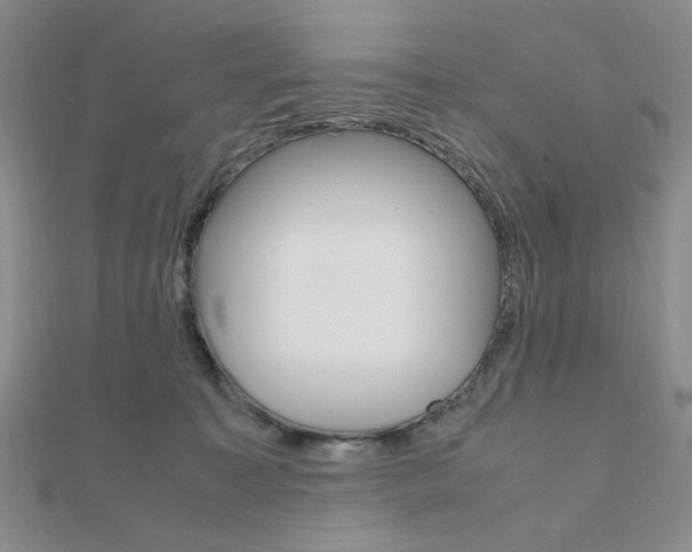 X0000112010323200908031026