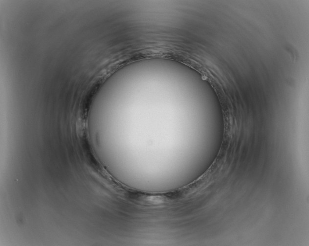 X0000112010324200908031026
