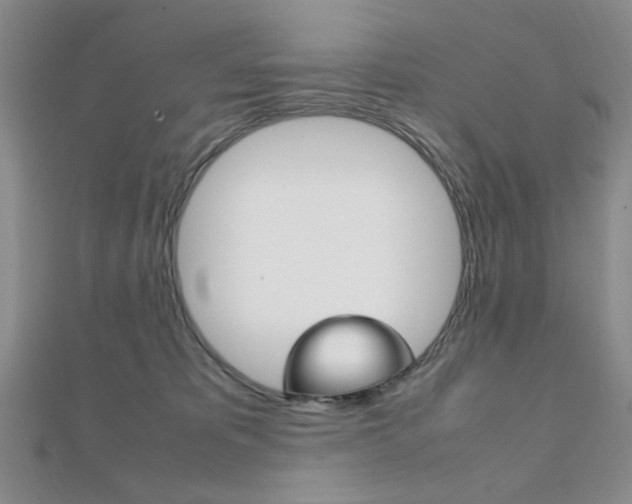 X0000112010325200908031026
