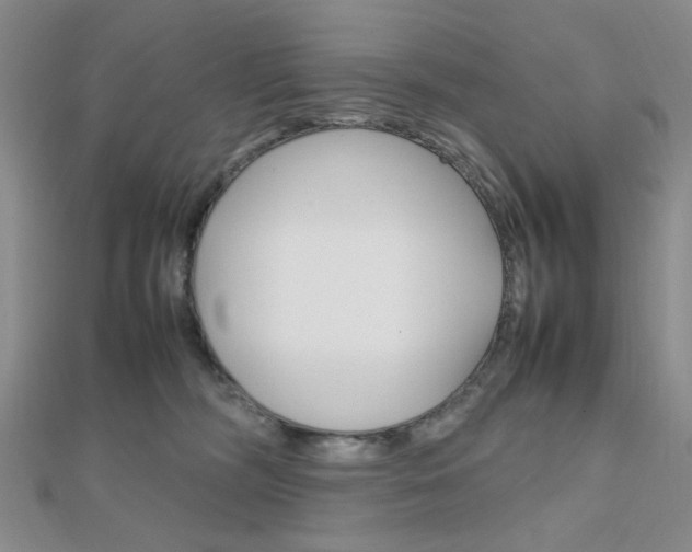X0000112010326200908031026