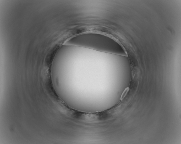 X0000112010327200908031026