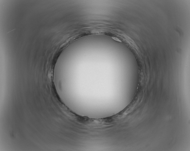 X0000112010329200908031026