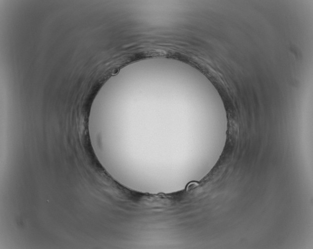 X0000112010331200908031026