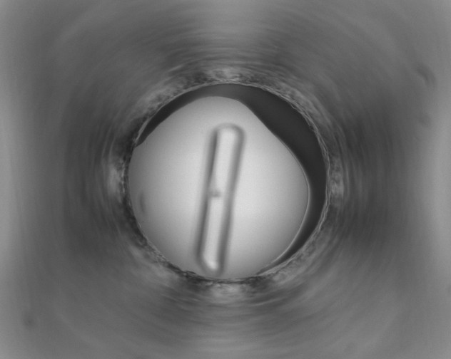 X0000112010332200908031026