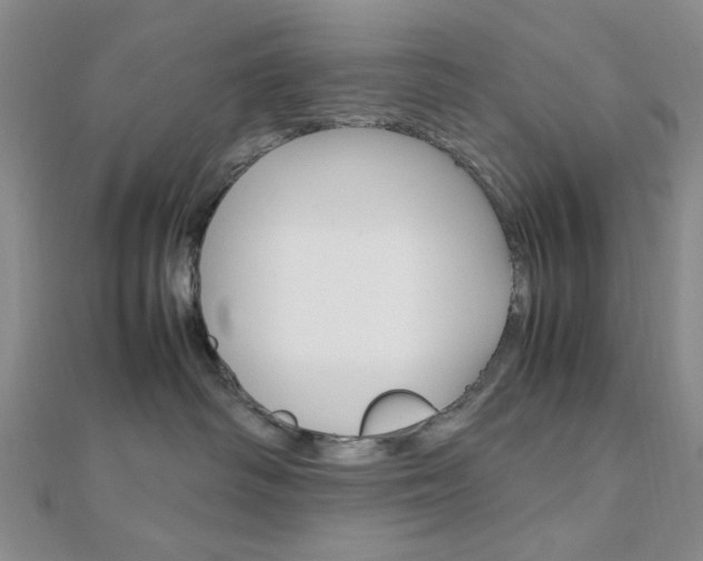 X0000112010334200908031026