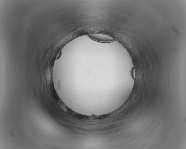 X0000112010335200908031026