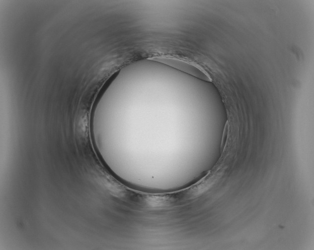 X0000112010336200908031026