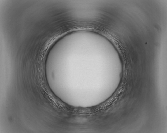 X0000112010337200908031026