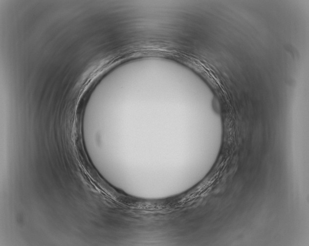X0000112010338200908031026